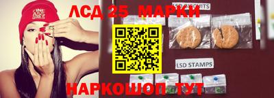 гидропоника Апшеронск