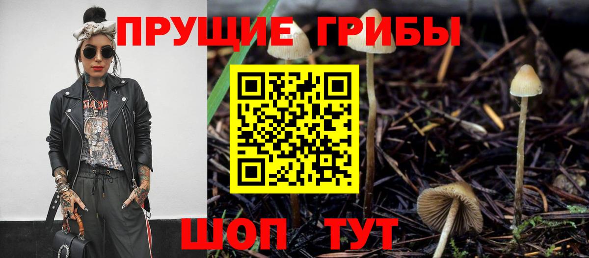 Псилоцибиновые грибы ЛСД Владивосток