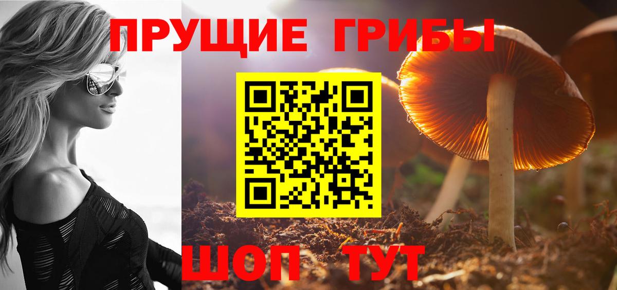 Псилоцибиновые грибы ЛСД  Псилоцибиновые грибы Psilocybe  Владивосток  цены наркотик  Вход с VPN 